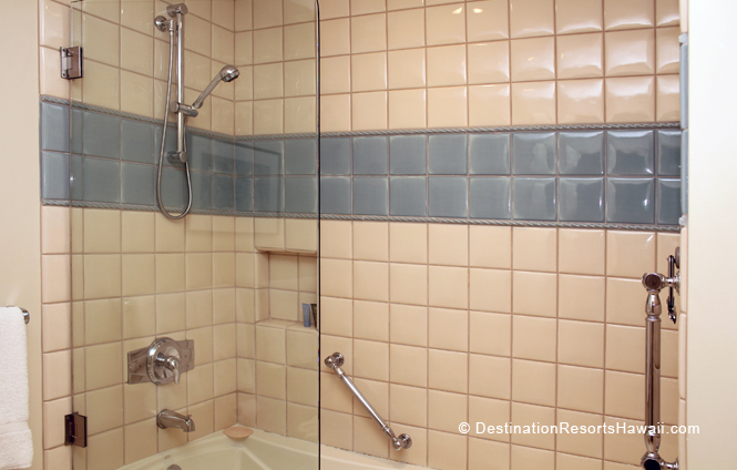Wailea Condo 969065