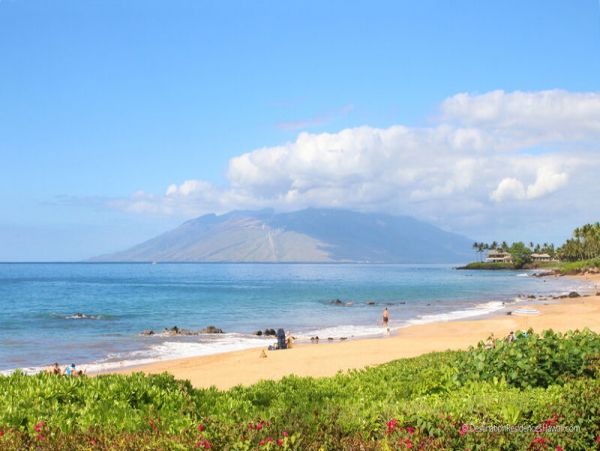 Wailea Condo 969068