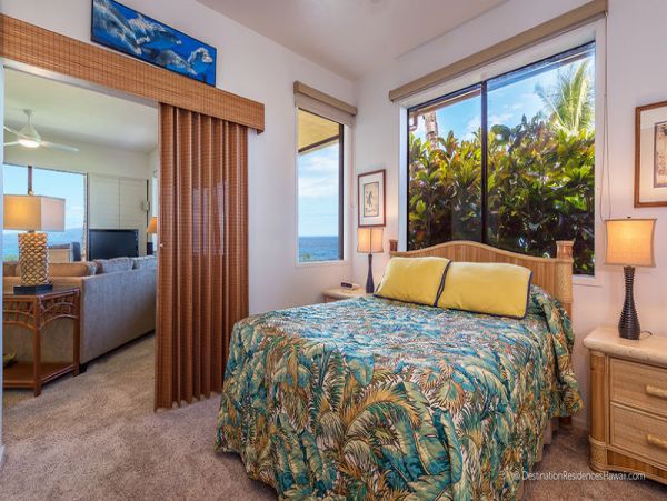 Wailea Home 969072