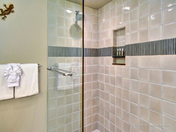 Wailea Condo 969073
