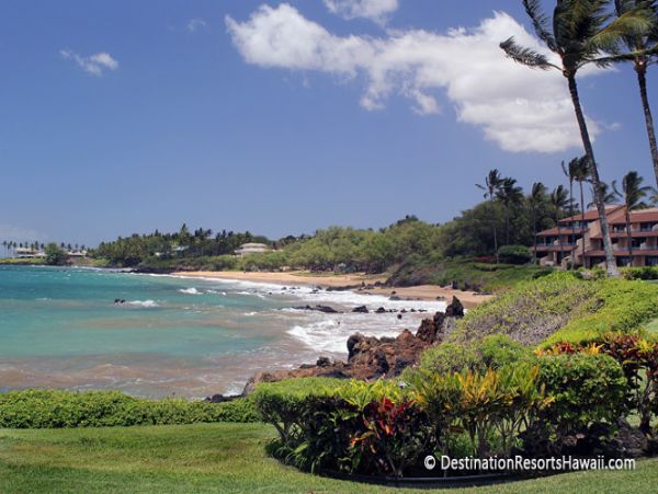 Wailea Condo 969075