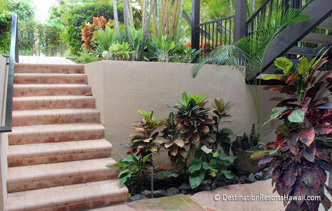 Wailea Condo 969075