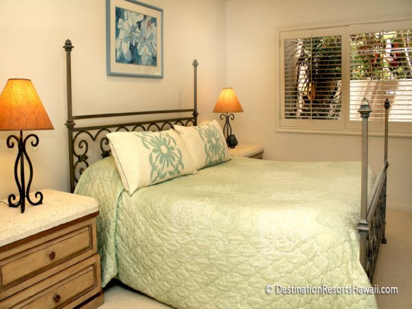 Wailea Condo 969075
