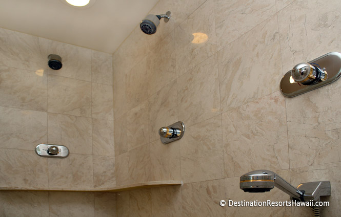 Wailea Condo 969075