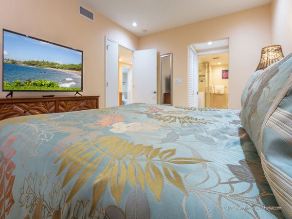 Wailea Condo 969076