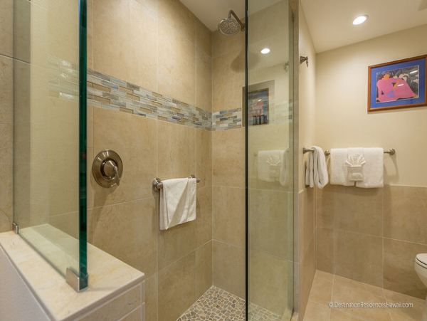 Wailea Condo 969076
