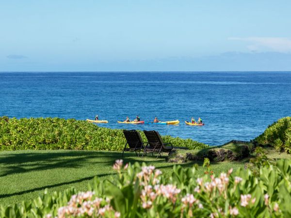 Wailea Condo 969077