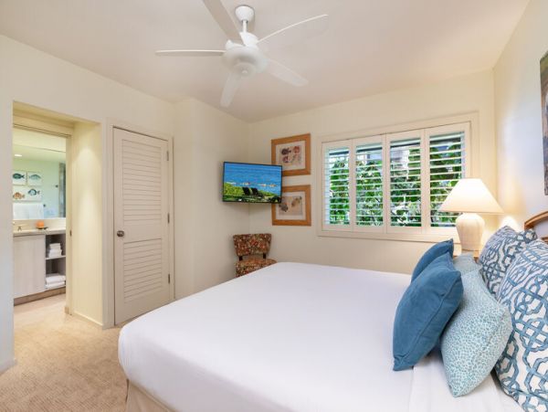 Wailea Condo 969077