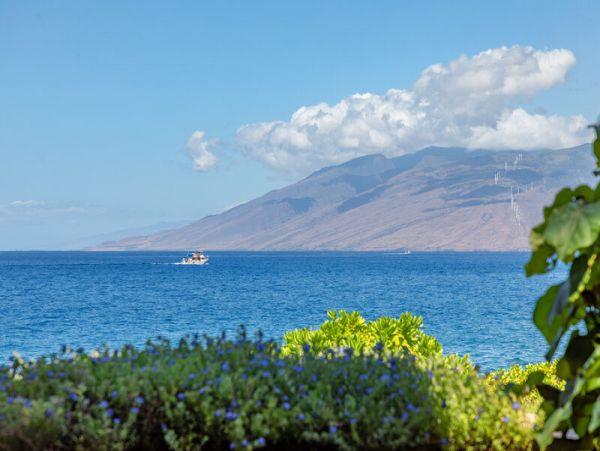 Wailea Condo 969077