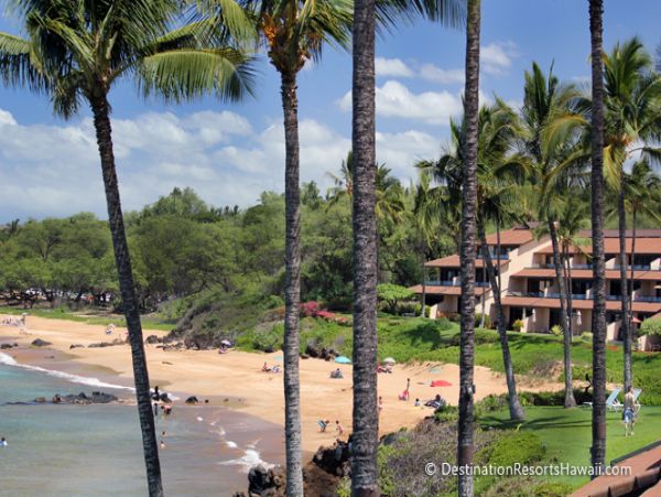 Wailea Condo 969078