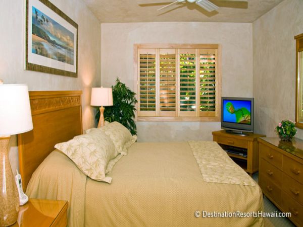 Wailea Condo 969078