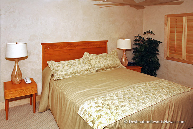 Wailea Condo 969078