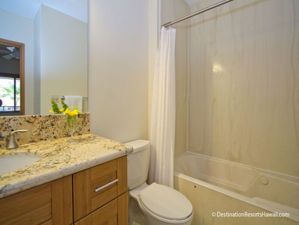 Wailea Condo 969084