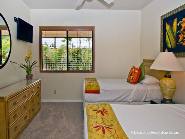 Wailea Condo 969084