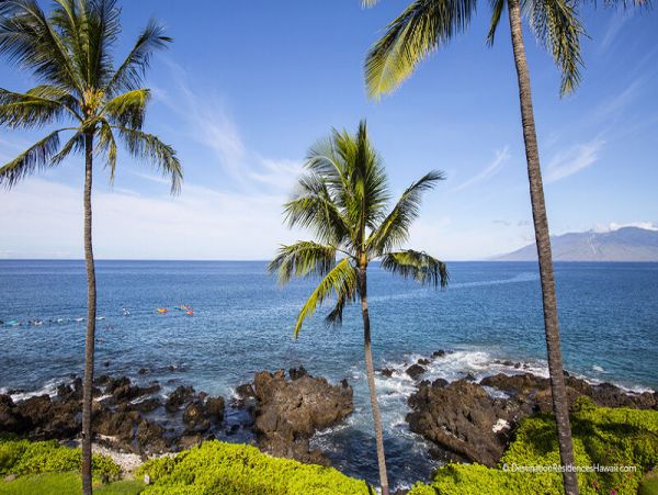 Wailea Condo 969089
