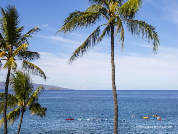 Wailea Condo 969089