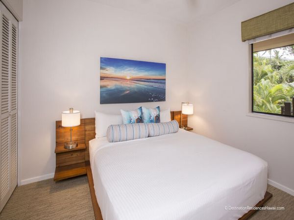 Wailea Condo 969089
