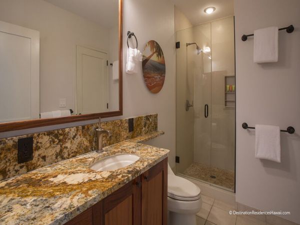 Wailea Condo 969089