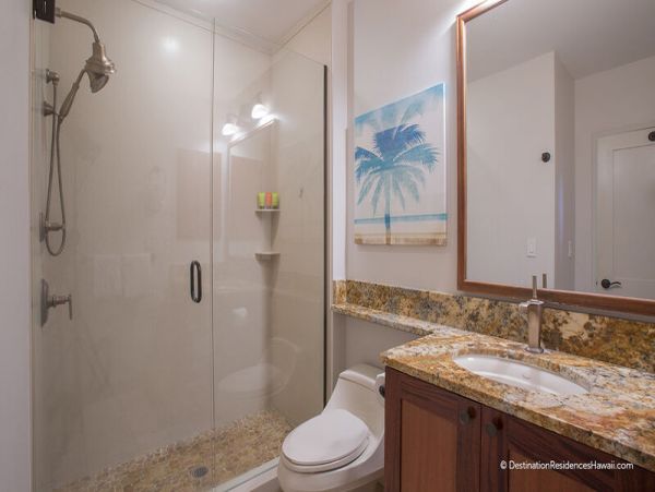 Wailea Condo 969089
