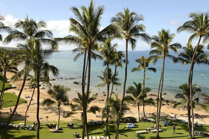 Wailea Condo 969092