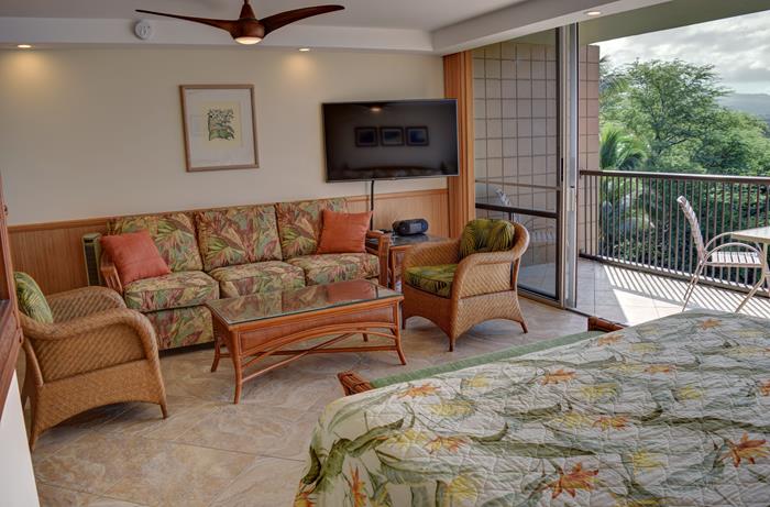 Wailea Condo 969094