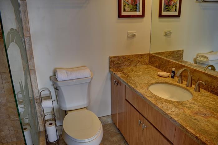 Wailea Condo 969094
