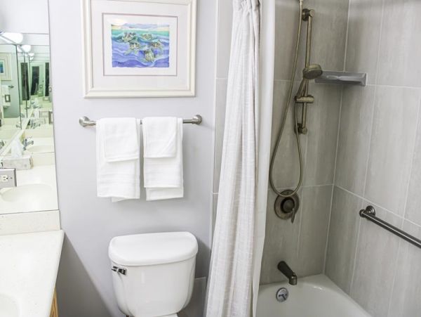 Wailea Condo 969096