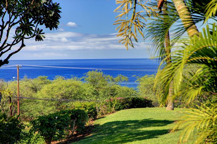 Wailea Condo 969105
