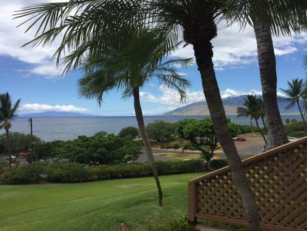 Wailea Condo 969109