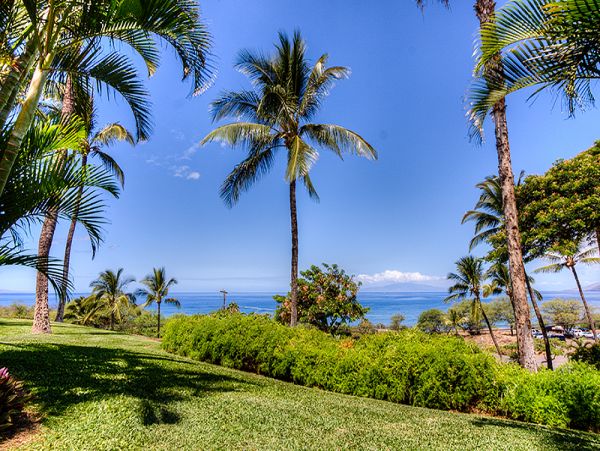 Wailea Condo 969110