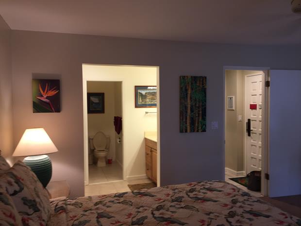 Wailea Condo 969111