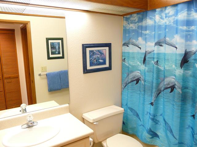 Wailea Condo 969114