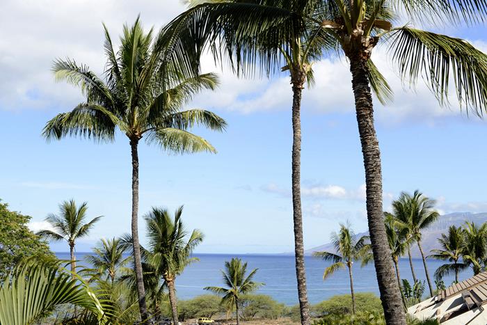 Wailea Condo 969115