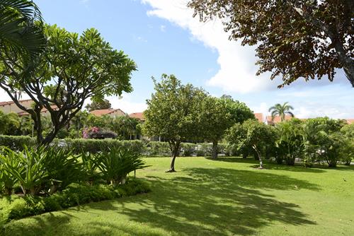 Wailea Condo 969117