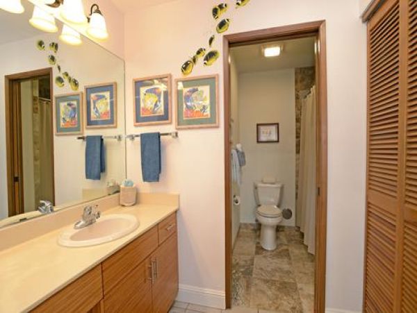 Wailea Condo 969117
