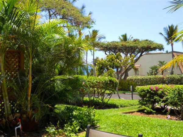 Wailea Condo 969119