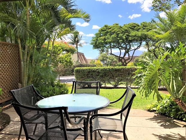 Wailea Condo 969119