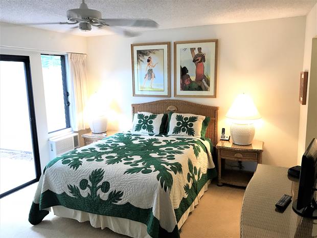Wailea Condo 969119