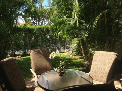 Wailea Condo 969125