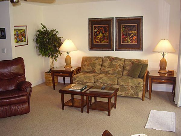 Wailea Condo 969125