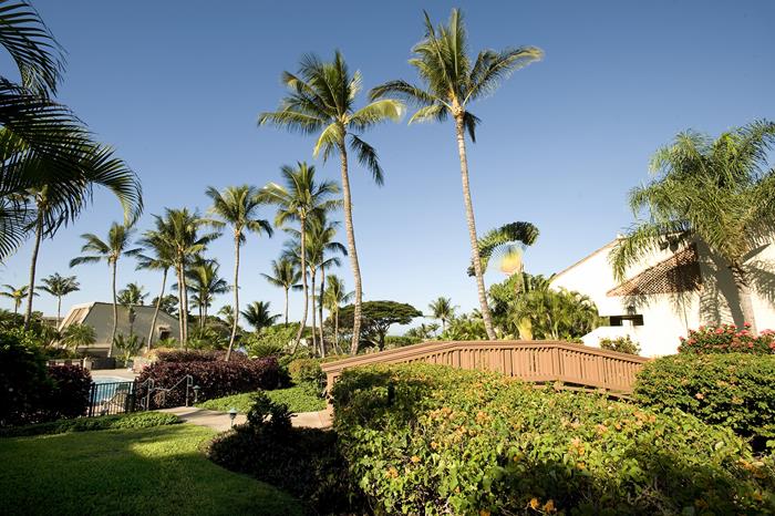 Wailea Condo 969130