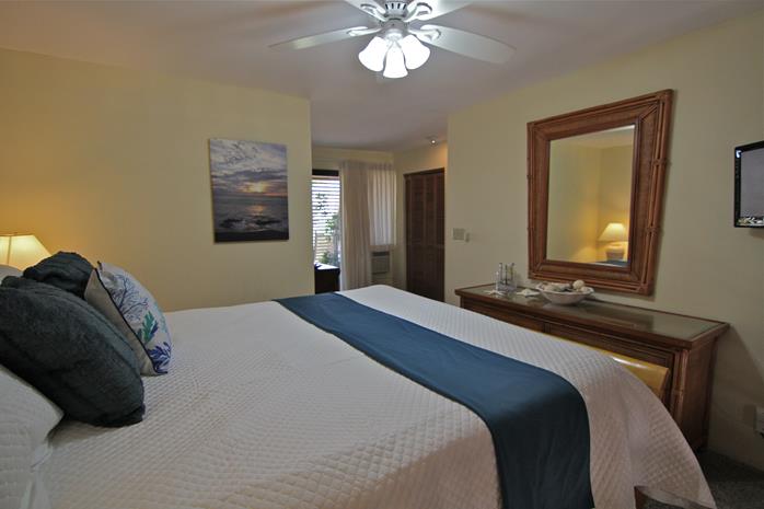 Wailea Condo 969132