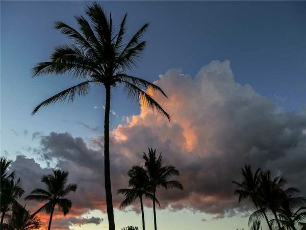 Wailea Condo 969133