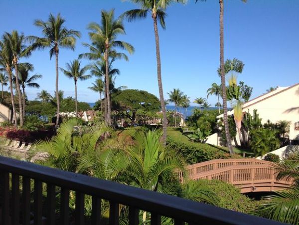 Wailea Condo 969135