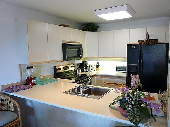 Wailea Condo 969135
