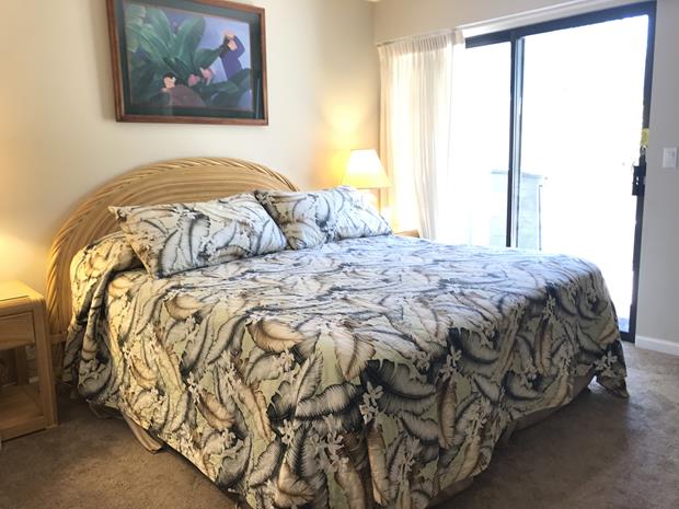 Wailea Condo 969136