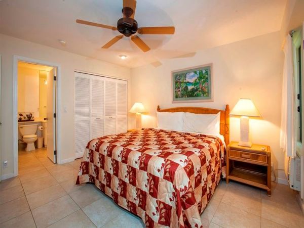 Wailea Condo 969137