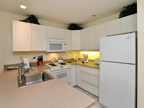 Wailea Condo 969139