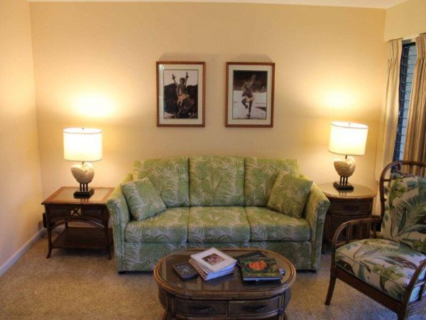 Wailea Condo 969141