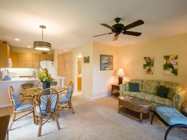 Wailea Condo 969141